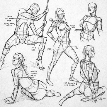 Anatomy sketches and studies.